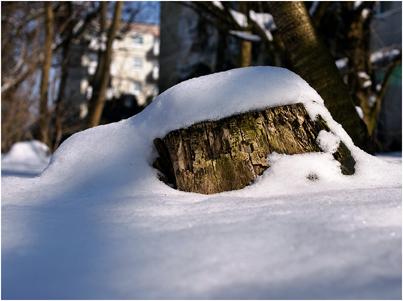 Winter in der Stadt