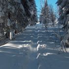 Winter in der Stadt Salzburg