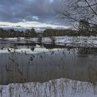 °Winter in der Südheide°