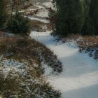 Winter in der Südheide 