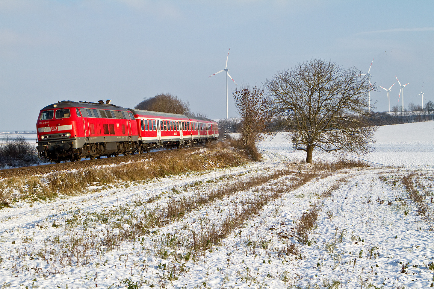 Winter in der Südpfalz