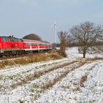 Winter in der Südpfalz