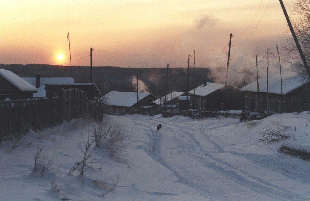 Winter in der Taiga