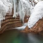 Winter in der Taugl