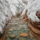 Winter in der Taugl