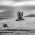 Winter in der Uckermark 20021