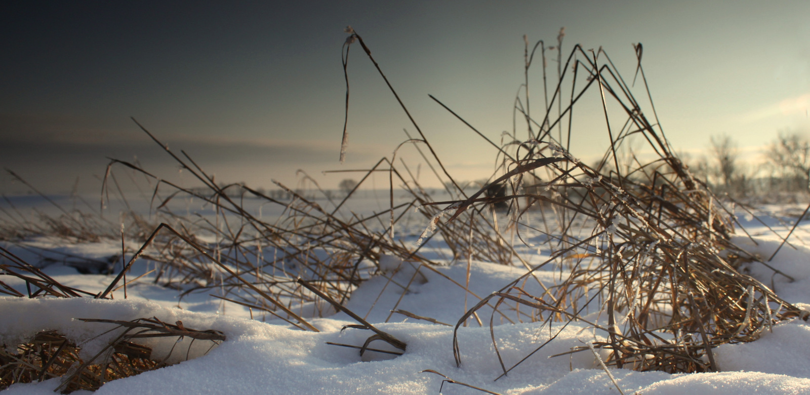 Winter in der Uckermark