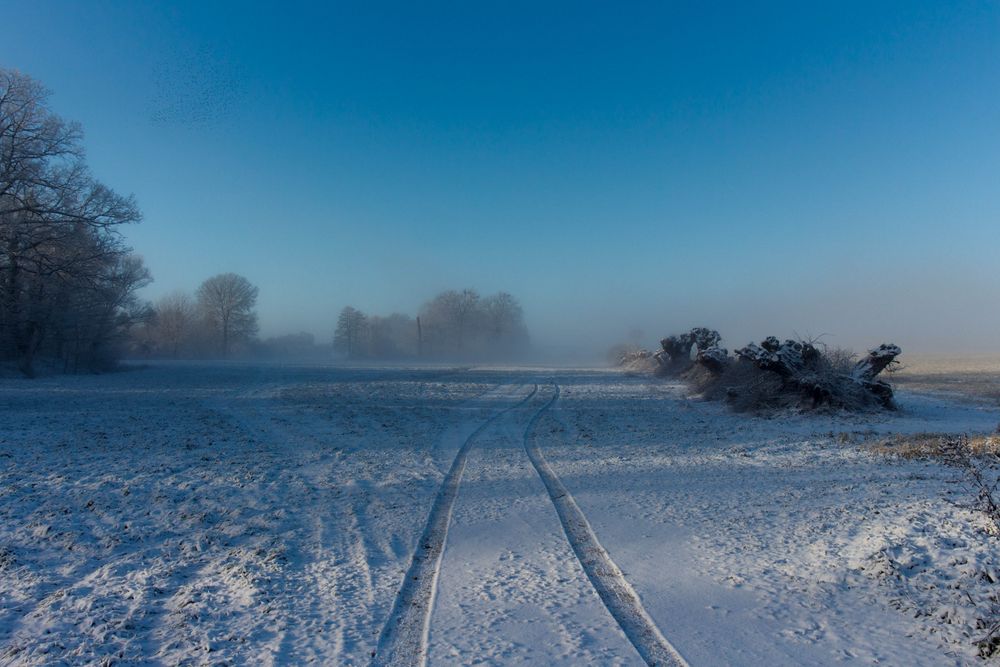 Winter in der Uckermark