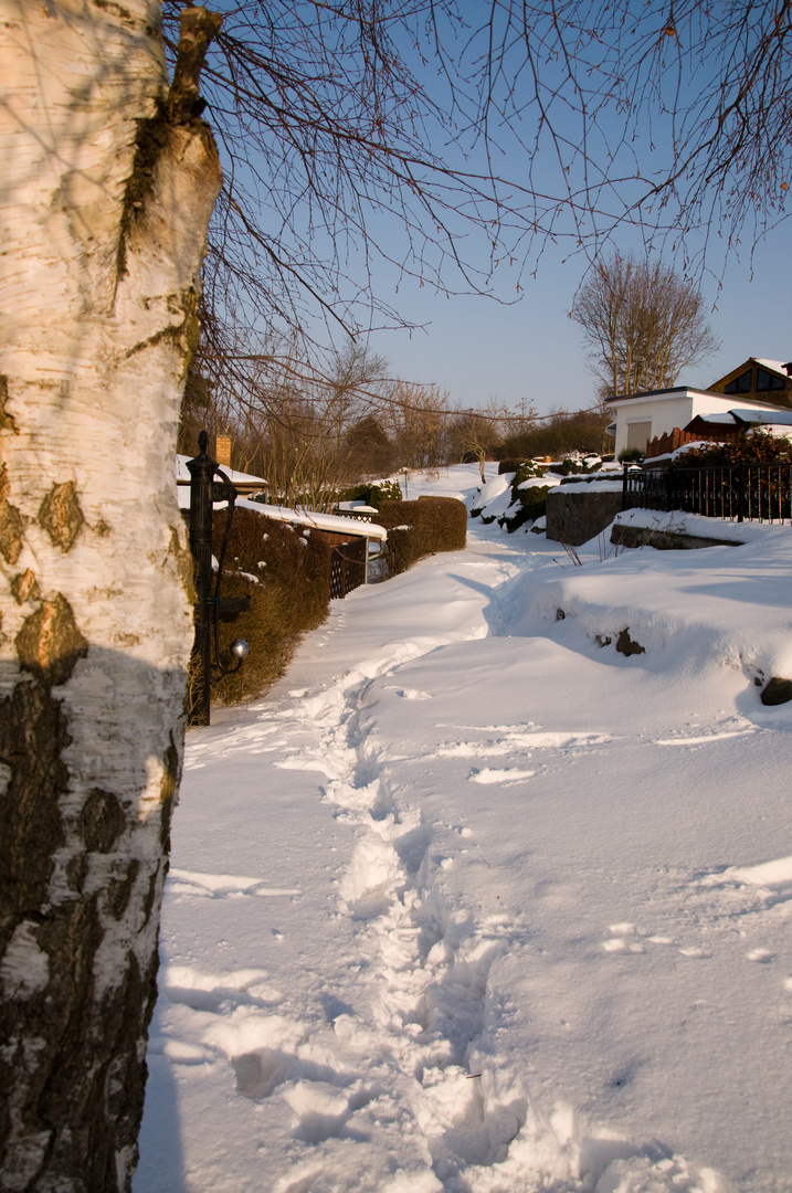 Winter in der Uckermark