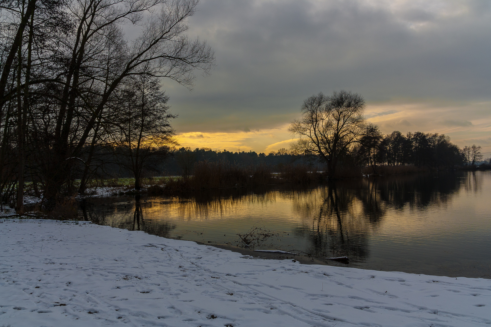 Winter in der Vorderpfalz