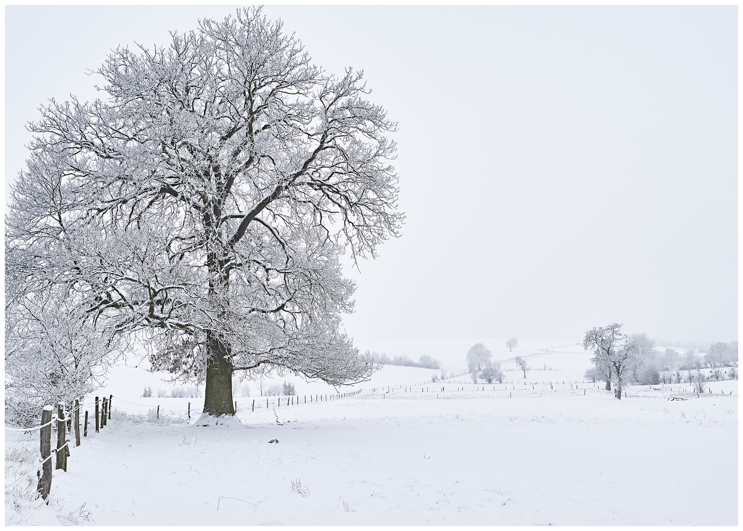 Winter-in-der Voreifel