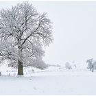 Winter-in-der Voreifel