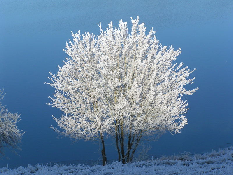 Winter in der Vulkaneifel