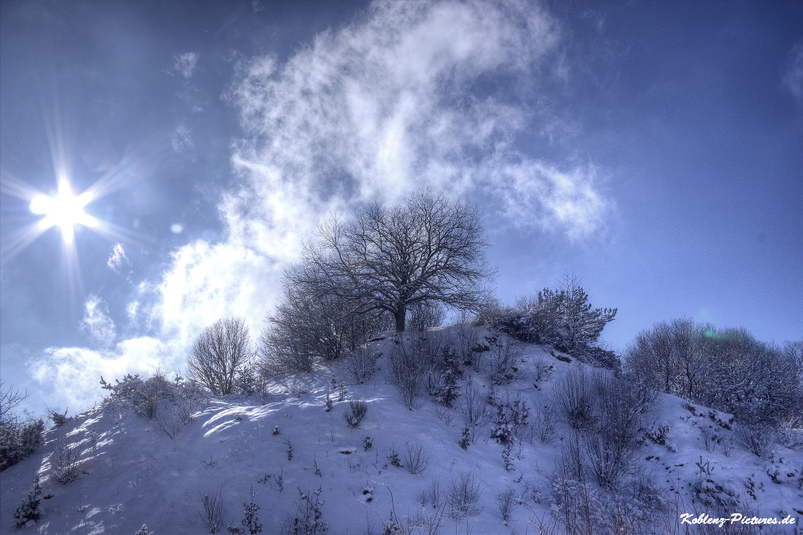 Winter in der Vulkaneifel 2