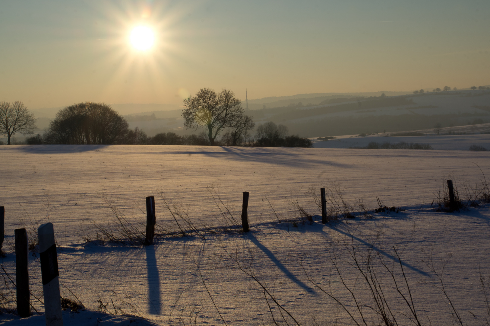 Winter in der Warburger Börde