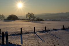 Winter in der Warburger Börde