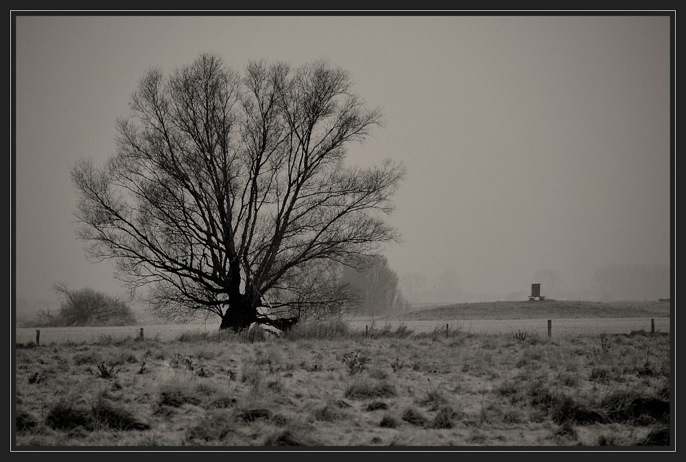 Winter in der Wesermarsch II