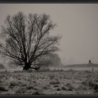 Winter in der Wesermarsch II