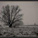 Winter in der Wesermarsch II