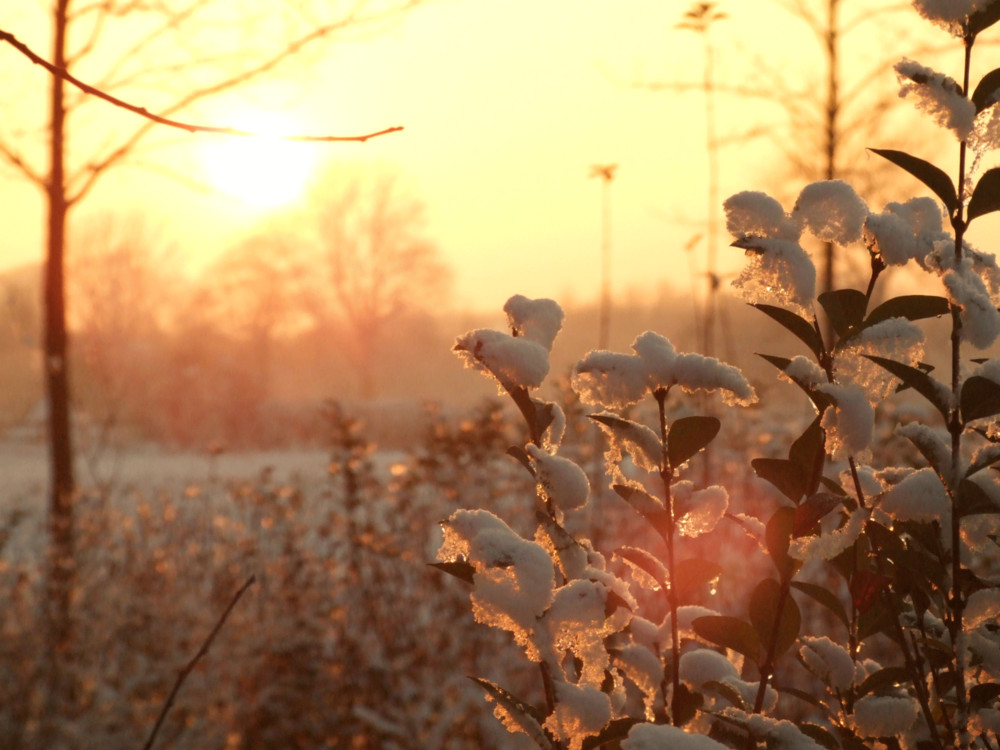 winter in deusen