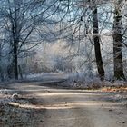 Winter in Deutschland