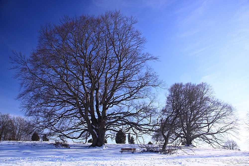 Winter in Deutschland