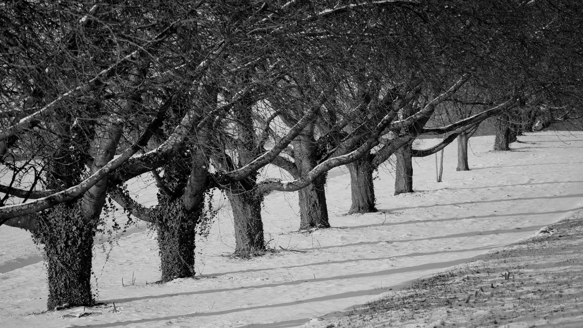 Winter in Deutschland