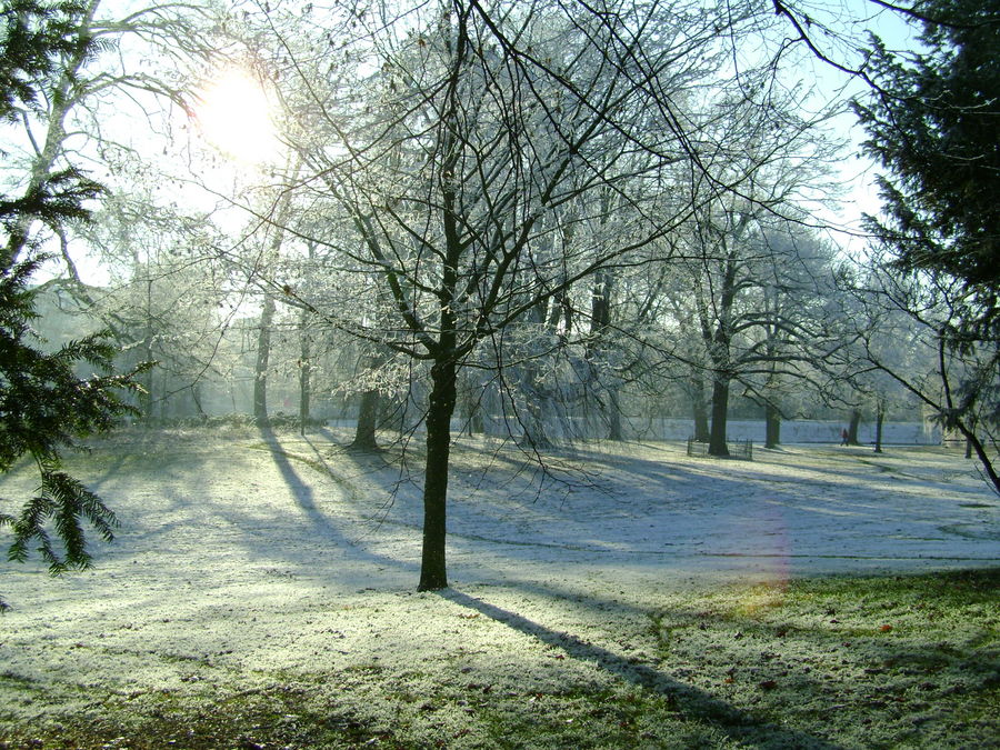 Winter in Deventer