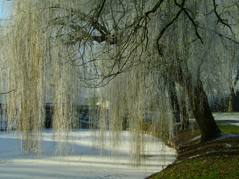 Winter in Deventer