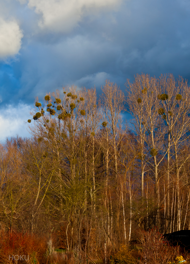 Winter in diesen Tagen