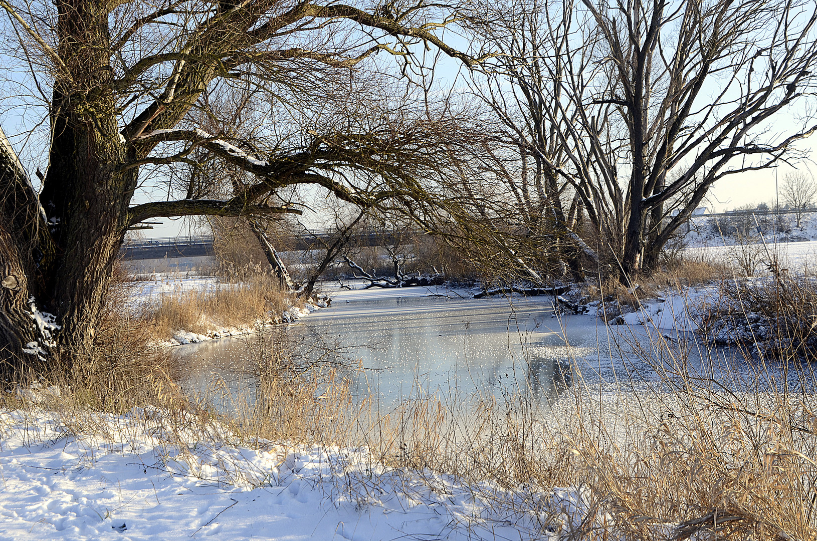 Winter in Donauwörth