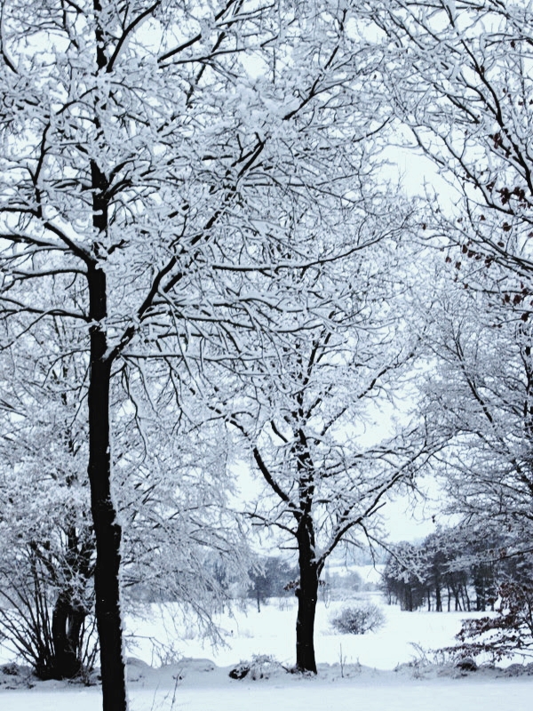 Winter in Dorfen