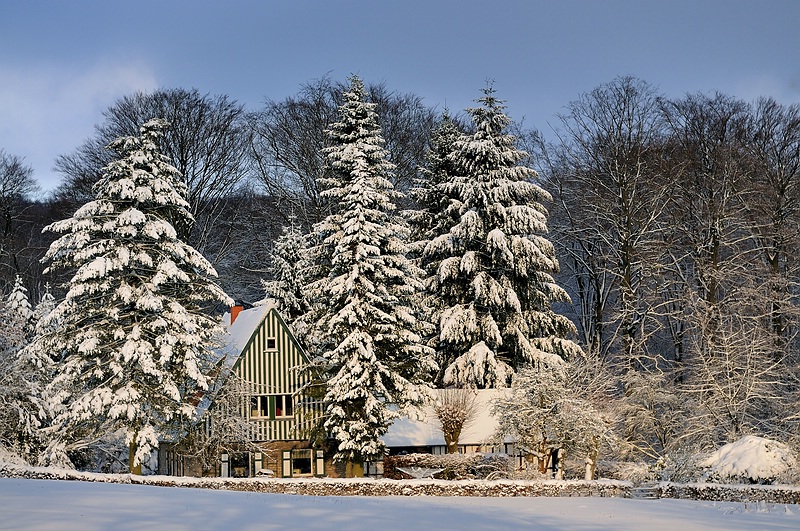 Winter in Dornberg