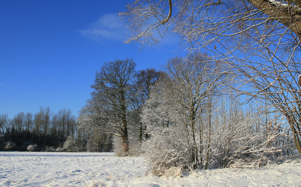 Winter in Drensteinfurt 2