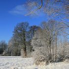 Winter in Drensteinfurt 2