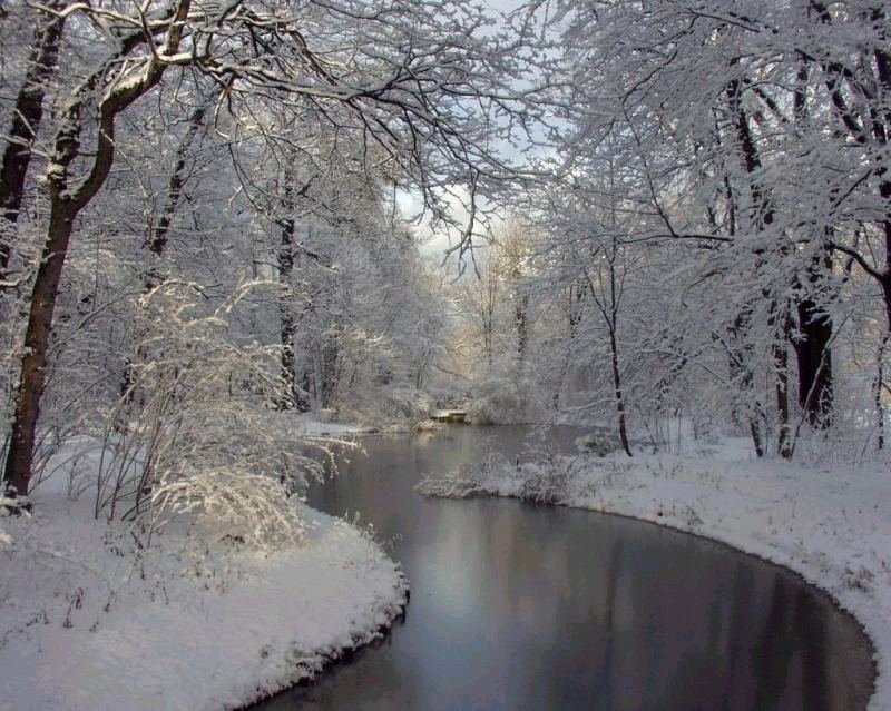 Winter in Dresden