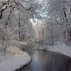 Winter in Dresden