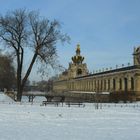 Winter in Dresden