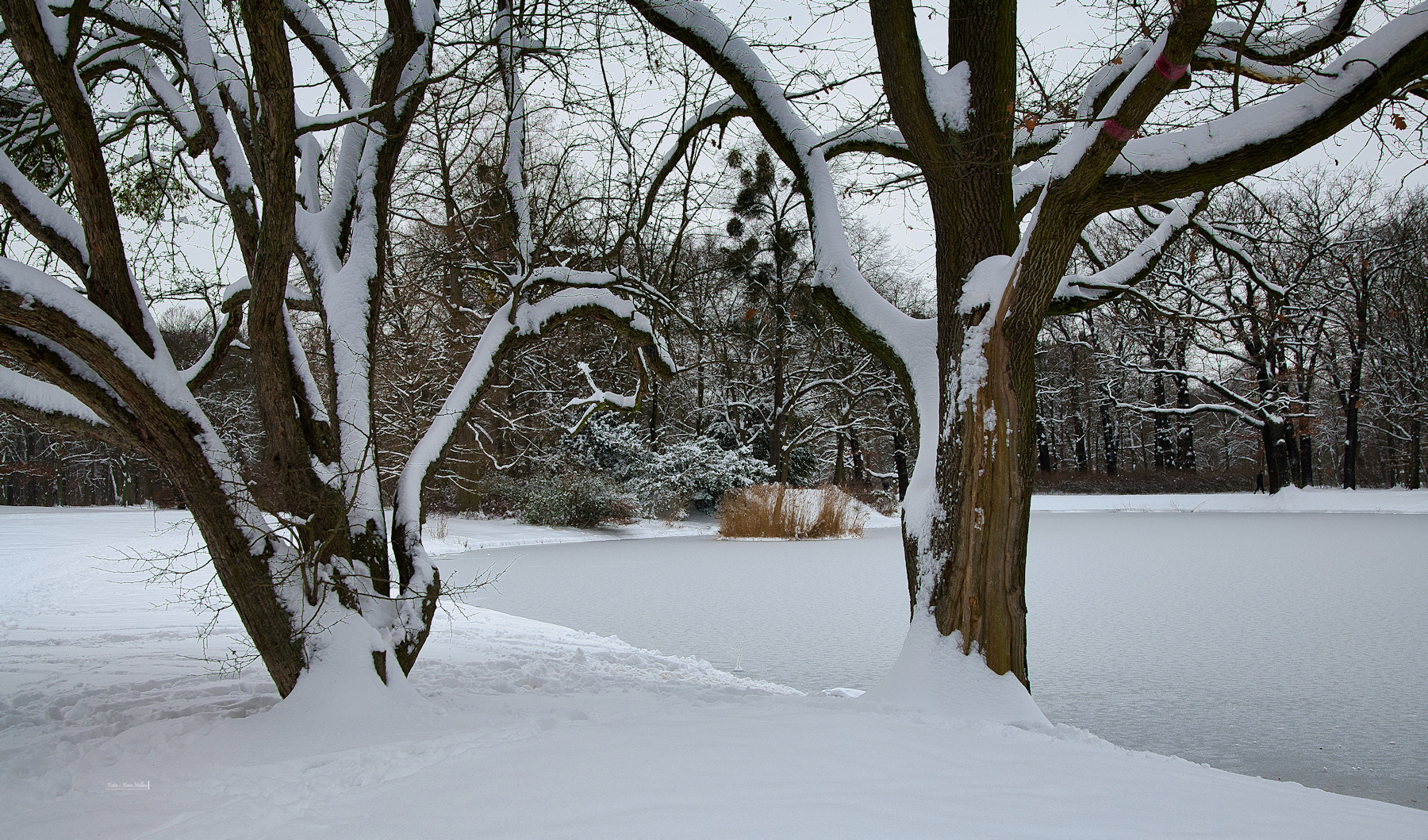 Winter in Dresden