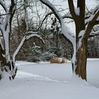 Winter in Dresden