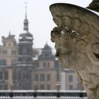 Winter in Dresden