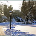 Winter in Dresden