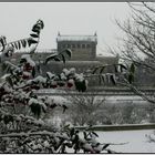 Winter in Dresden - IV