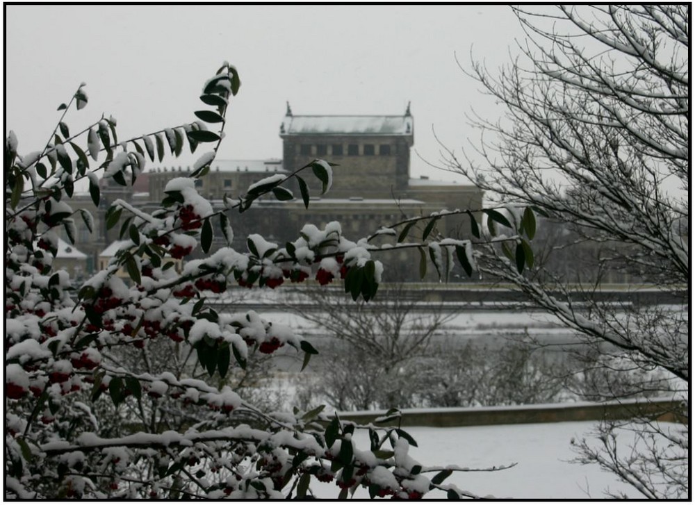 Winter in Dresden - IV