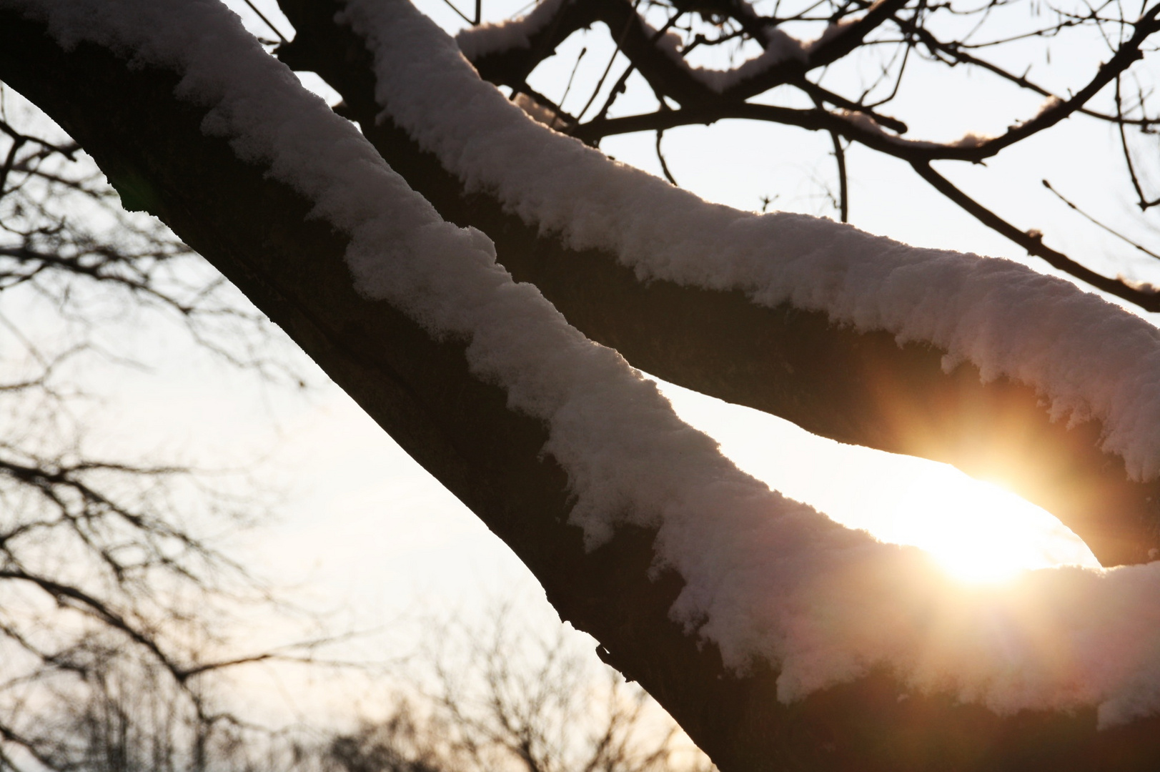 Winter in Duisburg