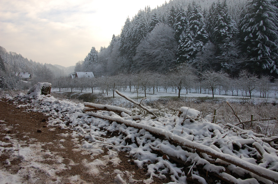 Winter in Durbach