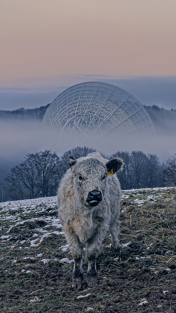 Winter in Effelsberg