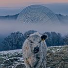 Winter in Effelsberg