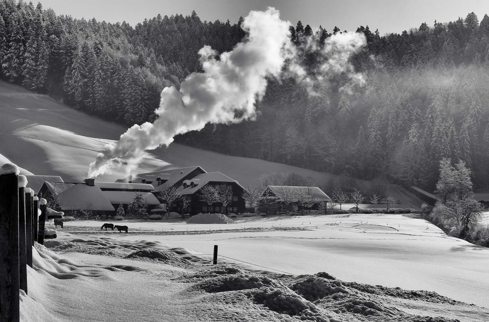 Winter in Einsiedeln