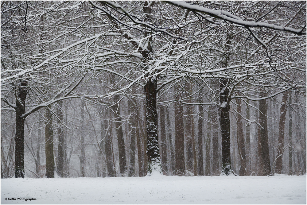 Winter in Ellerbek